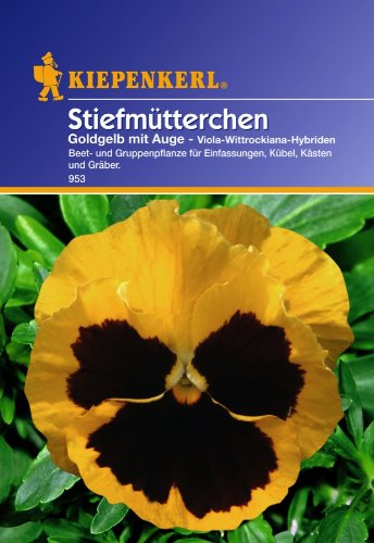 Stiefmütterchen, 'gelb mit Auge'