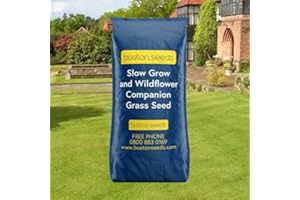 Boston Seeds Grass Seed for Slow Growing Lawns, Low Maintenance Grass Seed (1 x 2kg)