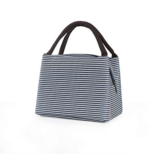 Buzazz Lunch Bag Picnic Cool Bag Lunch Box Bolsa para estudiantes, Oficina, Picnic Tote Cooler Travel Bag Organizador de almuerzo para adultos o niños