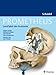 Produktbild PROMETHEUS LernPaket Anatomie Schädel