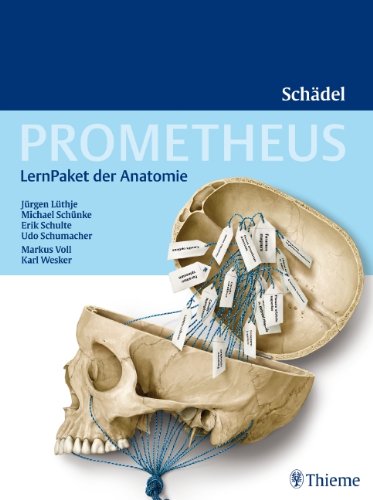 Preisvergleich Produktbild PROMETHEUS LernPaket Anatomie Schädel
