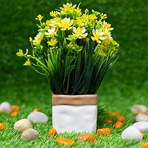 Klassic Monochromatic Ceramic Pot for Indoor Plants and Outdoor Plants