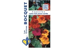 Sachet de graines de Capucine naine Tom Pouce variée - 5 g - fleur annuelle - LES GRAINES BOCQUET