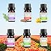 Produktbild Aromatherapie Duftöl, ANYOYO 100% reines ätherisches Öl, 6x10ml natürliches Bio-Öl, Aromatherapie-Öl-Geschenk-Set