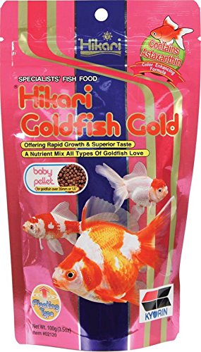 hikari goldfish gold