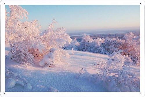 Metal Poster Tin Sign Plate East Russian Weather Retro Vintage Wall Décor by hamgaacaan (20x30cm)