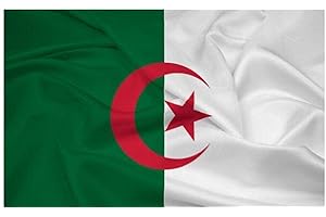 Stormflag Drapeau Algérie 90x150cm Drapeau Algérien 3x5ft polyester 90g avec œillets et Double couture