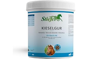 Stövlar kiselgur för hästar, högkvalitativ kombination av kiseljord, vitamin B komplex och zink, för en hälsosam päls, främja