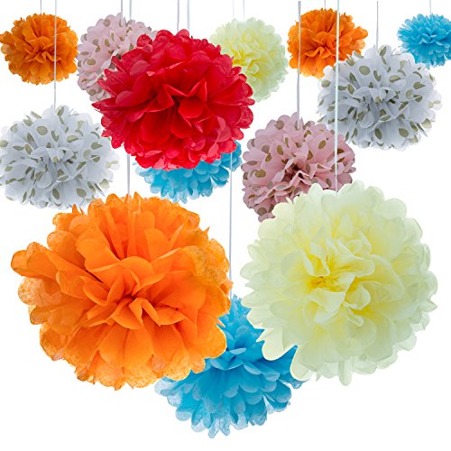 ZeWoo Set von 16 Stück Seidenpapier PomPons für Hochzeit Party Papierblumen Deko, 8", 10"