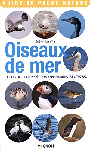 Oiseaux de mer
