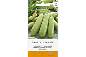 ŽALIA STOTELĖ Zalia stotele | CALABACÍN BLANCO DE TRIESTE Sementi | Semillas de Hortalizas | Semillas de calabacín | semillas de plantas | semillas de jardín | 1 paquete