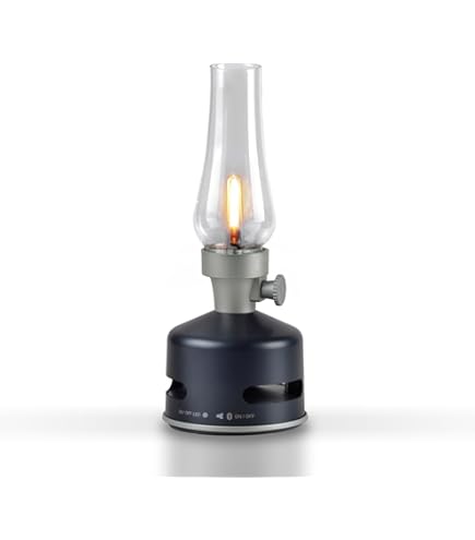 Enceinte Bluetooth MoriMori Lasmo FLM-17 Avec Lampes LED Détachables - Occasion