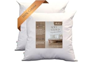 GM Soft Cloud - Set da 2 Cuscini 65x65 Interno decorativi, multiuso con imbottitura in fibra anallergica foderata in tessuto 100% cotone fresco - Per letto, divano, poltrona Made in Italy