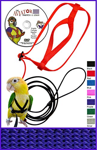 The AVIATOR Pet Bird Harness and Leash: Small Purple Made in America
