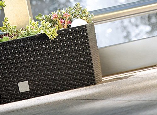 Blumentopf Blumenkasten Blumenkübel Polyrattan Bewässerung 4 Farben 2 Größen (600 anthrazit) - 6