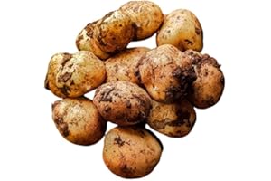 FPG4U Cyprus Potatoes || 2KG || PFG4U ||£12.99 ||