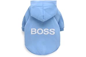 BT BEAR Dog Hoodie,Fashion Soft Cotton Puppy Hoodie Pet Clothes Warm Autumn Winter Coat for Cats,Small Dogs Medium Dogs (Small, Blue)