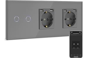 BSEED Doble Enchufe Normal con Interruptor de luz WiFi Gris,Compatible con Alexa y Google Home,Control de APP,2 Gang WiFi Interruptor,Enchufe con 2 Puertos USB(Max 2.1A)(Neutral Requerido)