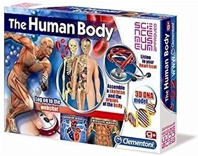 Educational Games - Creative Toys - Human Body Kids 61172