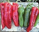 Las semillas orgÃ¡nicas: 1000 - Poblano L pimienta caliente se: a granel de Se Semillas (1000) - Pimienta ellos o re-venderlos !! PE PE PE por Farmerly