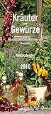Image de Kräuter & Gewürze - T & C-Kalender 2010: Notizkalender