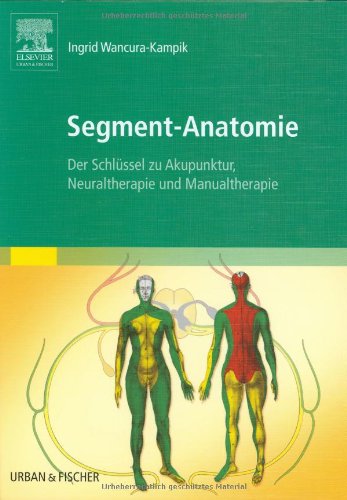 Preisvergleich Produktbild Segment-Anatomie: Der Schlüssel zu Akupunktur, Neuraltherapie und Manualtherapie