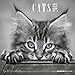 Cats 2019 - Katzen - Broschürenkalender (30 x 60 geöffnet) - schwarz-weiß - Tierkalender - Wandplaner by 
