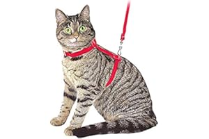 Ducomi Silvestro Arnes para Gatos – para Gatos, Conejos y Cachorros - Ideal en Paseos y Visitas al Veterinario - Correa Gato Ajustable 105cm (Red)