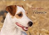 Faszination Terrier (Wandkalender 2015 DIN A2 quer): Terrier in beeindruckenden Bildern (Monatskalender, 14 Seiten) (CALVENDO Tiere) by 