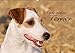 Faszination Terrier (Wandkalender 2015 DIN A2 quer): Terrier in beeindruckenden Bildern (Monatskalender, 14 Seiten) (CALVENDO Tiere) by 