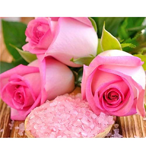 Maiyouweng Holzpuzzle 1000 Teile Vase Und Blume Hohe Qualitat