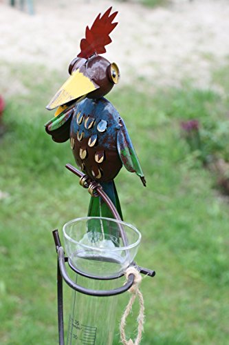 Regenmesser Vogel bunt Glaseinsatz "Crazy Joe"