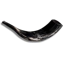 Shofar In Corno D'Ariete Kosher - Lucidato Naturale, 35.6cm, Per Yom Kippur E Celebrazioni Ebraiche - Foto 8