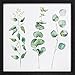 Produktbild Dekoria Wandbild Eucalyptus 30x30cm Wandbild, Bild, Wanddekoration Geschenk