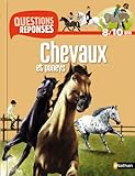 N05 - CHEVAUX ET PONEYS