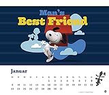 Image de Peanuts - Der Film Maxi Postkartenkalender - Kalender 2017