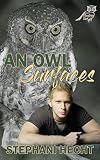 Cover zum Buch An Owl Surfaces