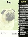 Image de Pug