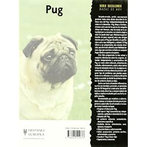 Pug