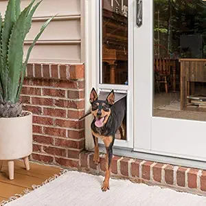 PetSafe Sliding Glass Cat and Dog Door Insert - Great for Apartment and Patio Slider Doors - Medium Pets