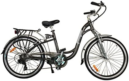 TDL6162 city dutch ebike bicycle 36v 10ah LIMITLESS SHARING (black)