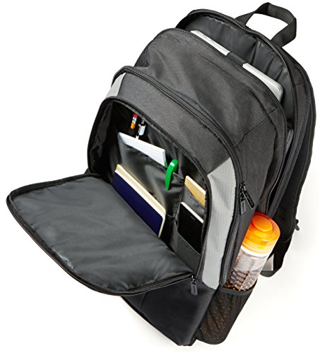 AmazonBasics Laptop-Rucksack geeignet für 38,1cm (15 Zoll) - 3