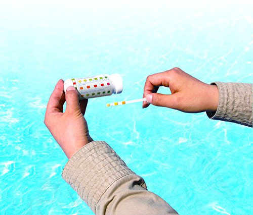 Bestway Pool PH Teststreifen Swim Doctor 3-in-1 - 2