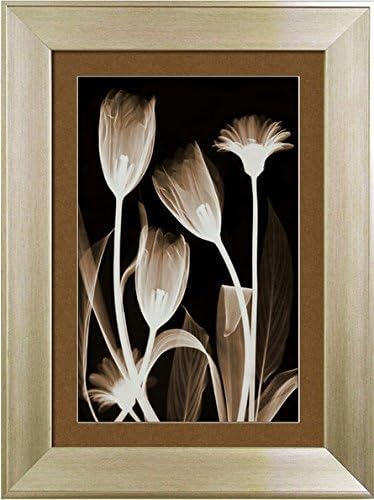 Meilanse Lily, Modern Living Room Decorative Painting, Simple Sofa Background, Triple Wall Painting, Lying Room, Restaurant Hanging Picture Box,45*60,Simple Drawing Silver Frame Plexiglass,Master C Diagram,Only Today