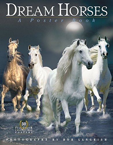 Descargar Dream Horses: A Poster Book Libro en línea