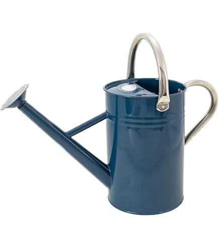 Behrens Metalware Classics 2.5-Gallons Silver Hot Dipped Galvanized Metal Classic Watering Can 00457 At