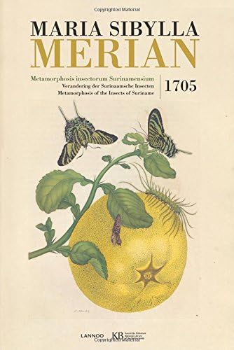 Maria Sibylla Merian. Metamorphosis Insectorum Surinamensium