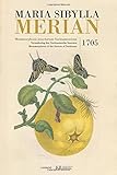 Maria Sibylla Merian. Metamorphosis Insectorum Surinamensium