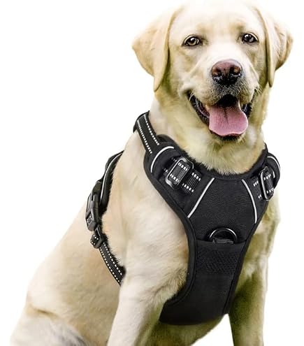 Fellstern Anti-Zieh Hundegeschirr Step-in Design - Ergonomisch Für Entspannte Spaziergänge