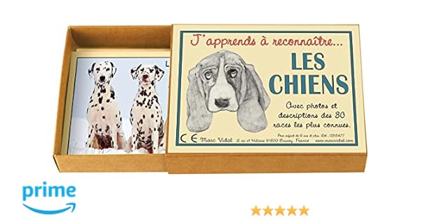 Marc Vidal Japprends à Reconnaître Les Chiens